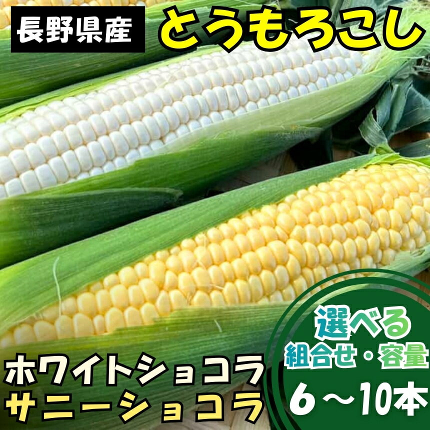 【ふるさと納税】 とうもろこし ホワイトショコラ サニーショコラ 【選べる組合せ・容量】| 農家直送 トウモロコシ 甘い 野菜 ジューシー みずみずしい 生食 茹で 焼き 栄養 おやつ 長野県 南信州 飯田市