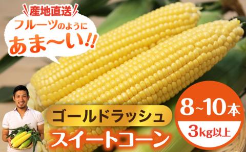 【先行予約】＜2024年6月中旬以降発送>スイートコーン ゴールドラッシュ 8本?10本【八丁屋】とうもろこし [HAO001]