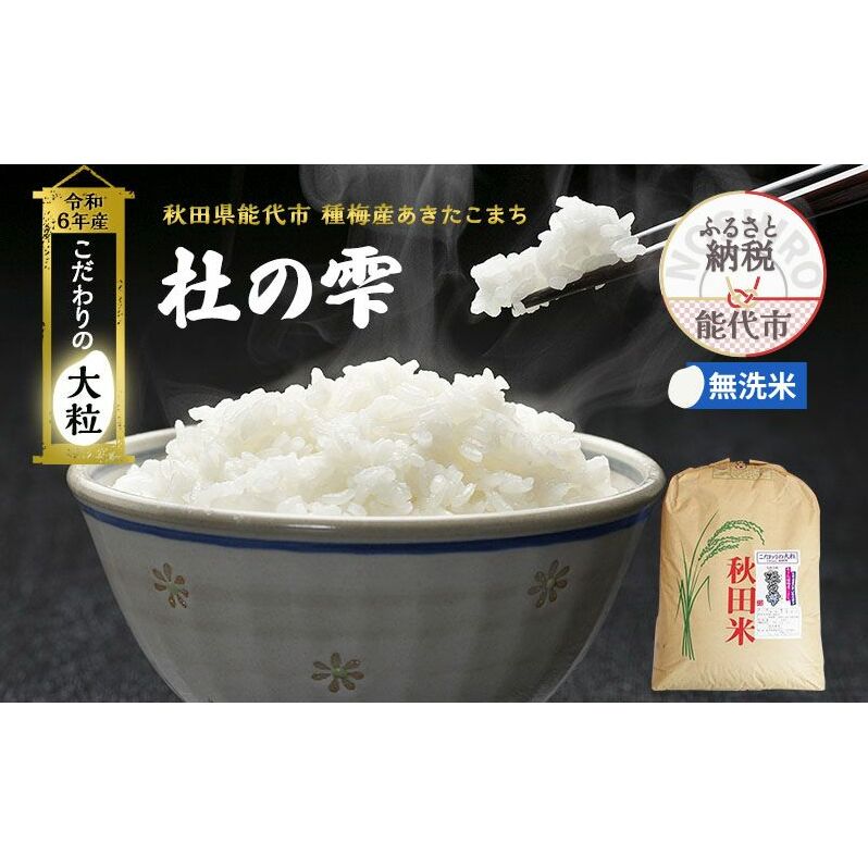 新米 米 お米 《定期便9ヶ月》【無洗米】秋田県産 あきたこまち あきた種梅産こまち 杜の雫 こだわりの大粒 26kg×9回 合計234kg