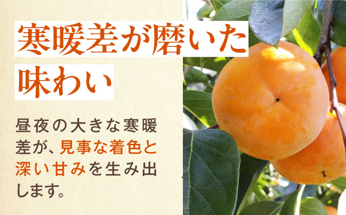 富有柿 2L玉サイズ 約3kg（12玉入り）／フルーツ 果物 くだもの 食品 人気 内子町【愛媛たいき農業協同組合 果樹生産出荷協議会 柿部会】