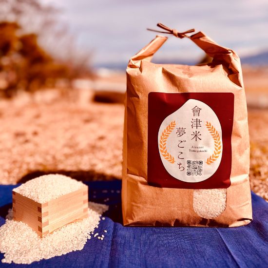 【ふるさと納税】58-M 【6ヶ月定期便】会津坂下産米夢ごこち5kg（計30kg）｜ 精米 白米 米 コメ こめ ※北海道・沖縄・離島への配送不可