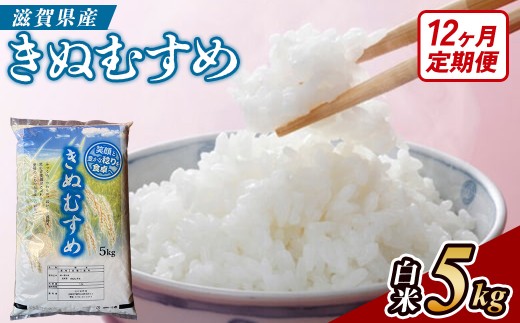 【令和8年産 新米 先行予約】【定期便】近江米きぬむすめ 5kgx12回定期便（精米）※2026年9月～発送