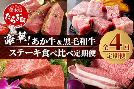 【定期便 4回】豪華！ あか牛 ＆ 黒毛和牛 ステーキ 食べ比べ 定期便≪ 牛肉 ブランド牛 黒毛 希少 褐毛和種 ステーキ サーロイン バラエティ 定期便 熊本県産 ≫092-0020