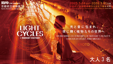 【～2026年3月16日受付】 京都府立植物園 LIGHT CYCLES KYOTO 前売券 大人3枚 チケット