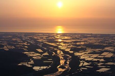 石川県能美産コシヒカリ　ぐっどのみ(精米)10kg お米 白米 ブランド米 銘柄米 ご飯 おにぎり お弁当 和食 主食 国産 炭水化物 産地直送 