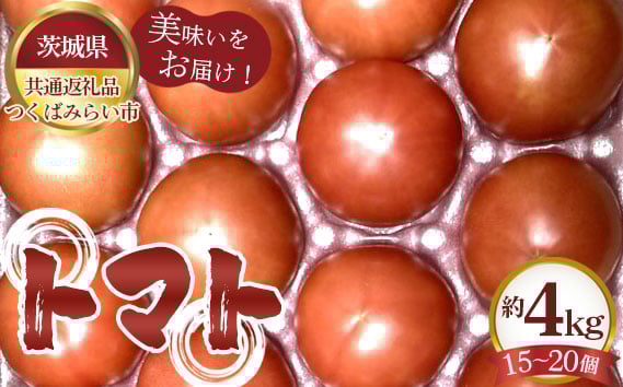 
            トマト　約4kg（15～20個）【茨城県共通返礼品 つくばみらい市】 ／ 旬 新鮮 とまと 野菜 茨城県 特産品 No.331
          