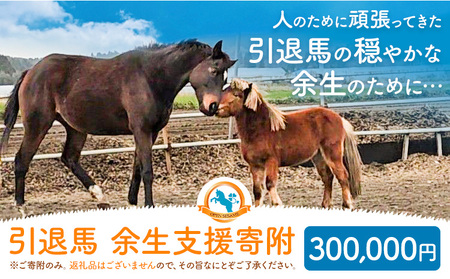 【返礼品なし】引退馬余生支援寄附 300,000円 一般社団法人オープンセサミアライブ 熊本県 南阿蘇村 馬 ウマ 支援 競走馬 引退馬 生活支援 動物愛護 保護 返礼品なし 寄附 牧場 オープンセサミ アニマルサンクチュアリ
