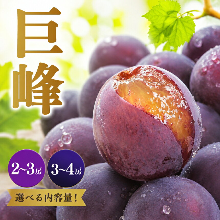 【ふるさと納税】＼選べる内容量／ 巨峰 2〜3房 or 3〜4房 | ※8月下旬より順次発送 果物 くだもの フルーツ ぶどう 葡萄 巨峰 大粒 甘味 強め ずっしり ボリューム感 旬 秋 奈良県 吉野 大淀町 産地直送 山本観光ぶどう園