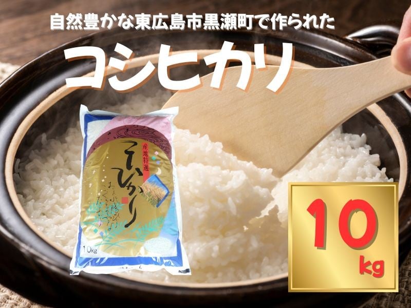 
            東広島市産米 コシヒカリ 10kg
          