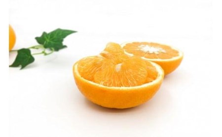 甘夏　＜優-秀品＞　１０玉 【KK0791_x】