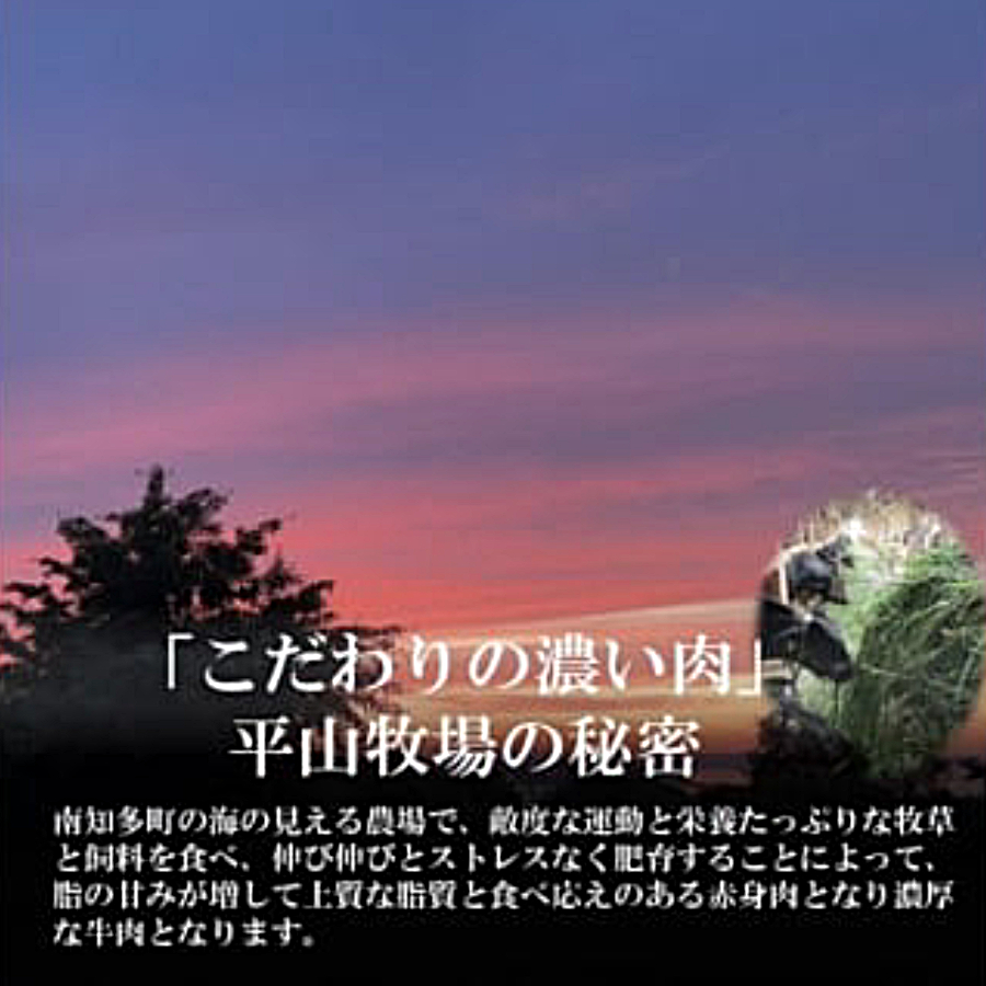 ＜南知多マザービーフ＞ サーロインステーキ680g(170g×4枚)