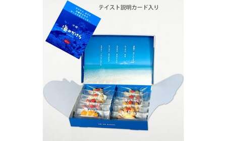 海のかけらクッキー 1箱8個入り2箱セット
