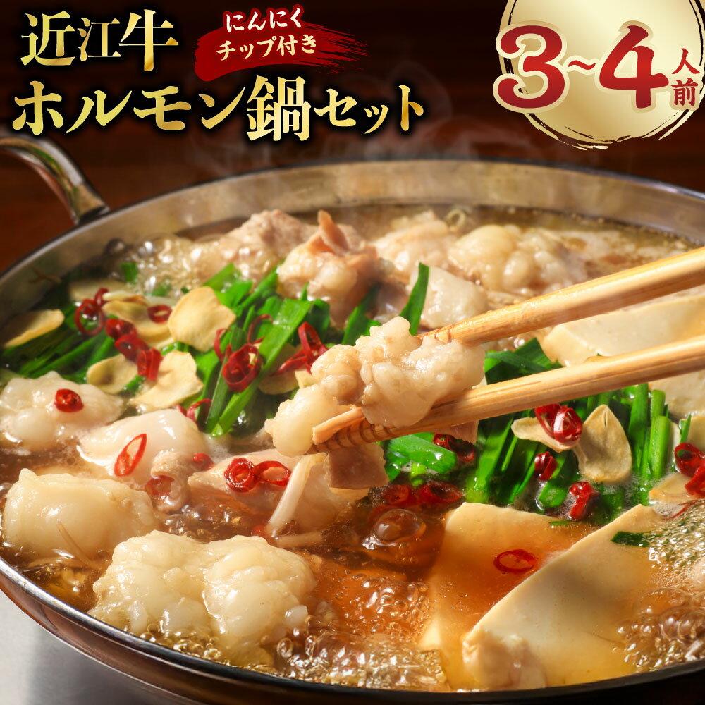 【ふるさと納税】近江牛 ホルモン鍋セット【ホルモン（約300g）・鍋スープ（約400g）】 計約700g 3～4人前 もつ鍋 モツ鍋 牛肉 お肉 ホルモン しょうゆ味 醤油 お鍋 鍋料理 冷凍 滋賀県 湖南市 送料無料