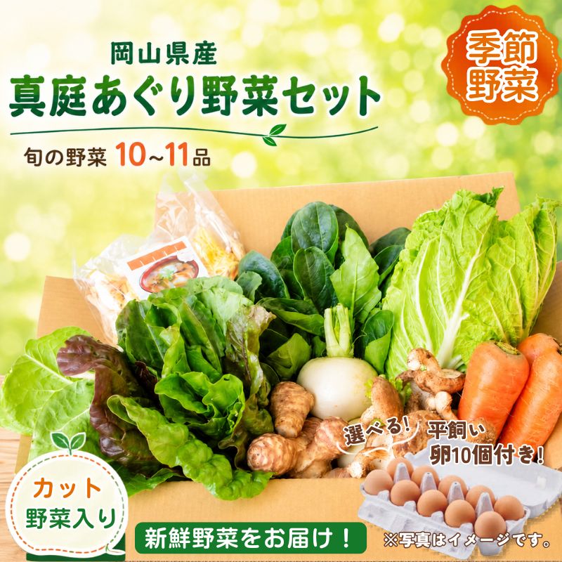 【ふるさと納税】 真庭の野菜 真庭あぐり野菜セット 10～11品 カット野菜入り 選べる卵付き 選べる回数 単品 定期便 やさい 人気 冷蔵 旬の野菜 季節の野菜 詰め合わせ 産地直送 岡山県 真庭市 送料無料 野菜セット 新鮮 国産 【配送不可地域：北海道／沖縄県／離島】