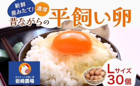 平飼い卵玉子新鮮 埼玉県産 平飼い卵【L30個入】