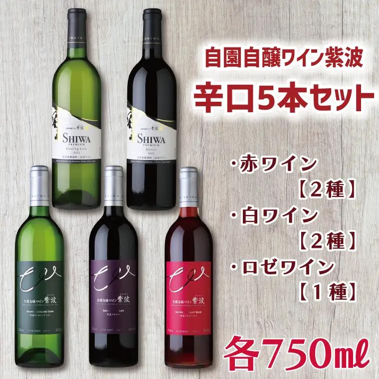 ワイン 辛口5本セット (AL035)