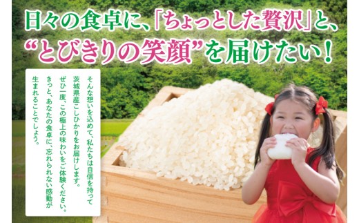 【数量限定】 令和8年産 【3ヶ月定期便】美味追求 茨城県産こしひかり 30ｋｇ（5ｋｇ×6）×3回 【定期便 お米 ごはん こしひかり 精米 おにぎり ごはん 茨城県 水戸市】(NA-11)
