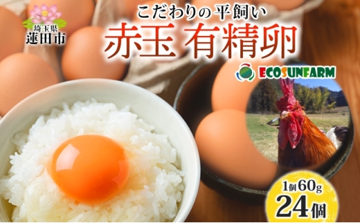 エコサンファーム 平飼い 赤玉有精卵 24個 赤玉 有精卵 こだわり 国産 鶏卵 鶏 発酵飼料 たまご かけご飯 料理 スイーツ お取り寄せ 産地直送 朝食 埼玉県 蓮田市