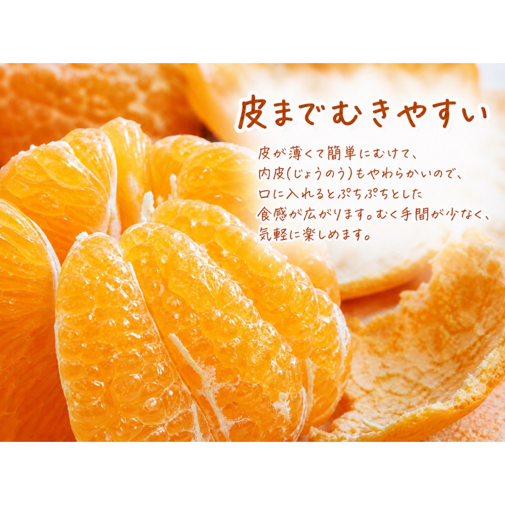 果肉ぷりぷり!完熟はるみ　５ｋｇ［2027年2月上旬頃～2027年2月下旬頃に順次発送］［UT22］ XF032_イメージ3