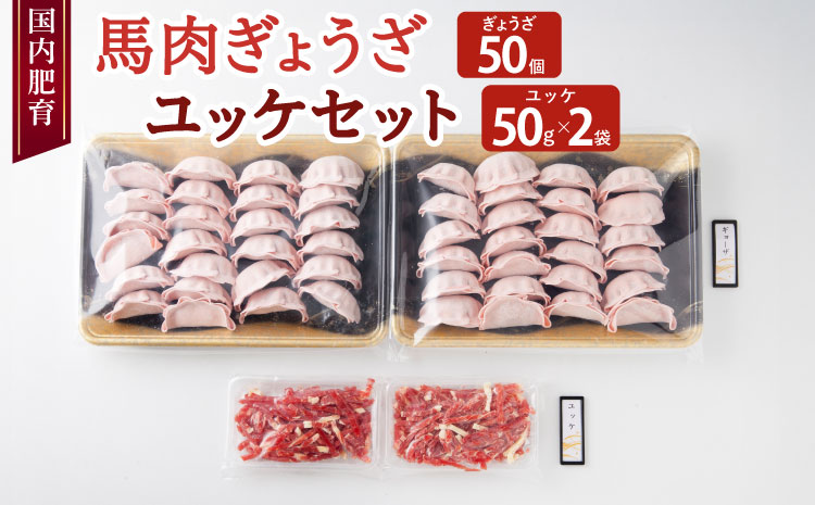 【国内肥育】馬肉 ぎょうざ 50個 ユッケ 100g（50g×2袋）セット 餃子