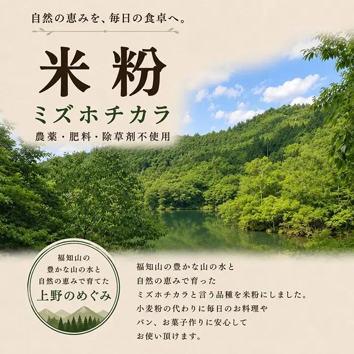 ミズホチカラ米粉 3kg 農薬・肥料不使用 自然農法 リトリートかるむ