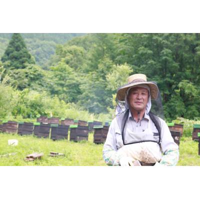 ふるさと納税 横手市 秋田県産自家採集　はちみつ　けんぽなし蜜　600g |  | 02