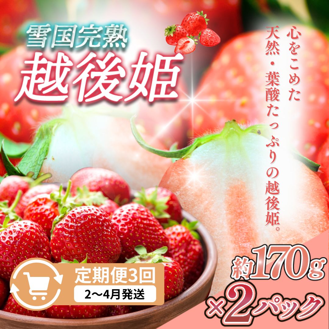 【ふるさと納税】先行予約 定期便 3回【2～4月発送】雪国完熟いちご越後姫 170g×2全3回 定期配送 越後姫 いちご 定期便 完熟 苺 新潟 苺の花ことば　お届け：ご入金確認後、2027年2月～4月の月1回お届け