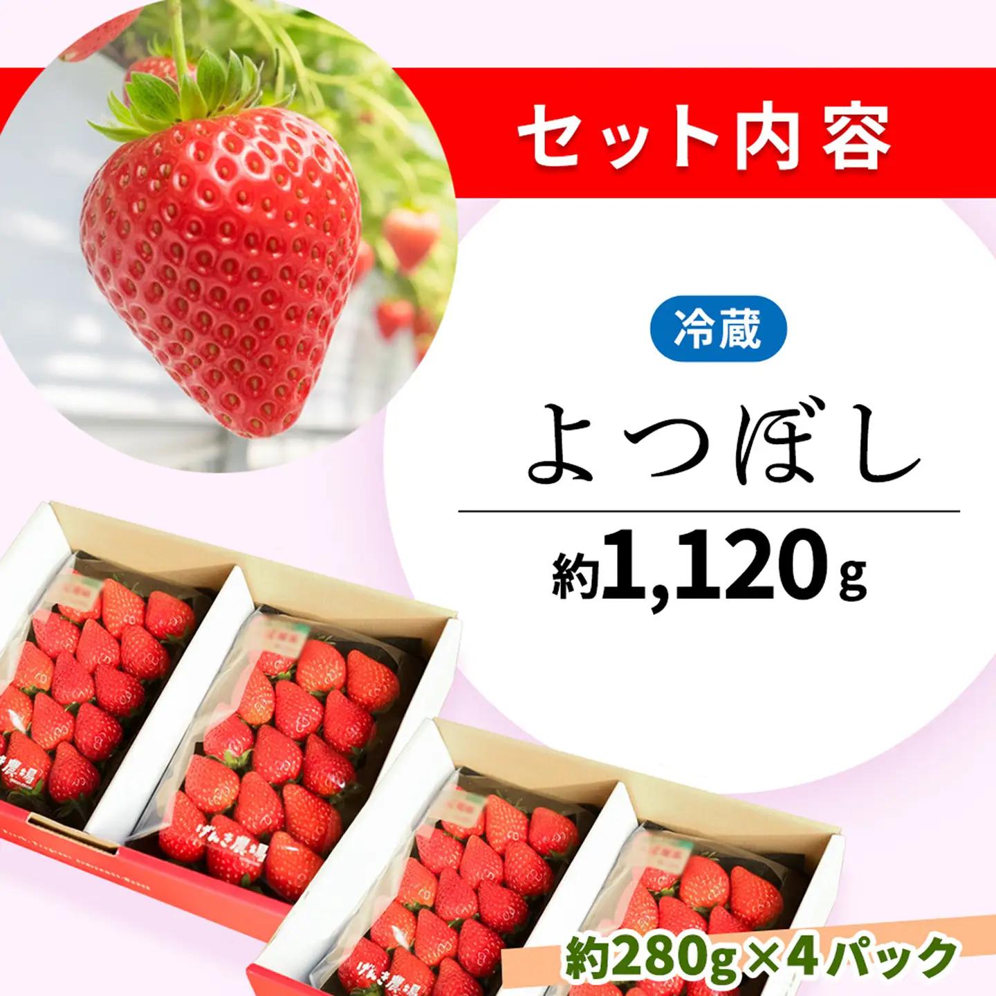 【2027年1月発送】【先行予約】【農場直送！】よつぼし(約280g×4P) K100068