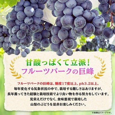 山梨市産「巨峰(種なし)」詰め合わせ(約500g×3房)【配送不可地域：離島・沖縄県】