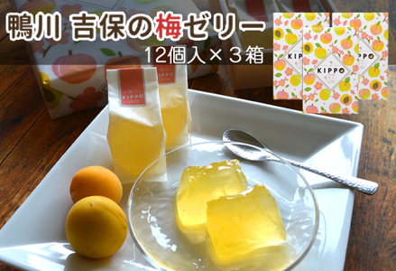 【鴨川・吉保梅の里】南高梅のさわやかな一口ゼリー「吉保の梅ゼリー」12個入り×３箱 《配送指定OK》《2週間以内に発送》《のし対応可》鴨川産 南高梅 梅ゼリー 一口ゼリー 吉保梅 吉保梅の里 梅スイーツ 和スイーツ 個包装 手土産 ギフト 常温保存 お取り寄せ [正和物産][0011-0088]