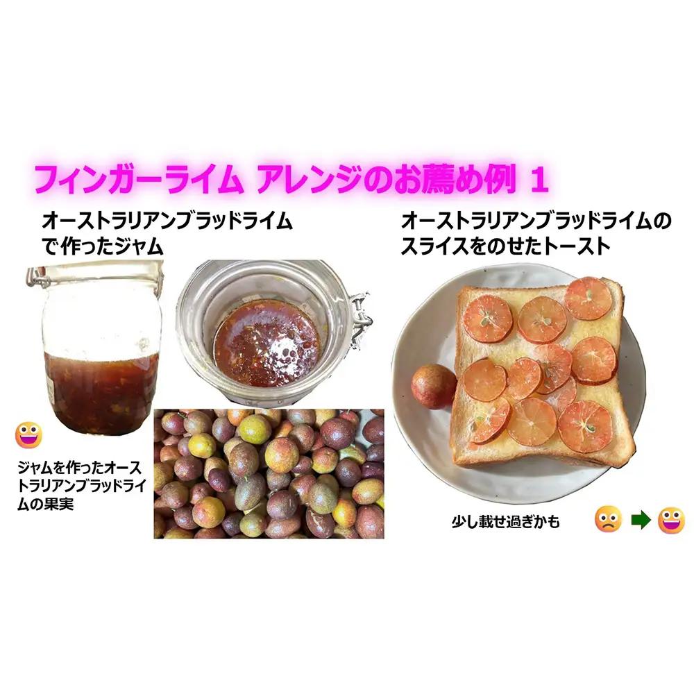 No.407 フィンガーライム　100g