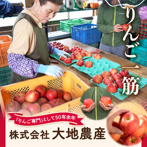 《先行受付》【2026年1月発送予定】 サンふじ約5kg・秀品【大江町産・山形りんご・大地農産】 028-026
