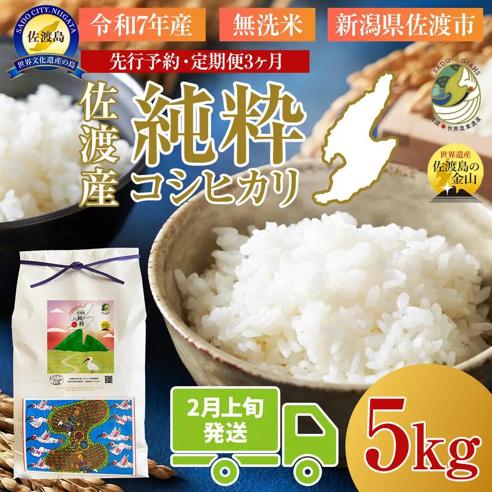 ＜定期便3回＞【令和７年産・数量限定】新潟県佐渡産の純粋コシヒカリ　精米【無洗米】5kg×3回　送料無料　R8年  2月上旬～R8年4月上旬の3回送付