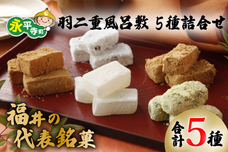 和菓子 餅 羽二重風呂敷 5種 詰合せ 永平寺町 和菓子 もち [A-011001]