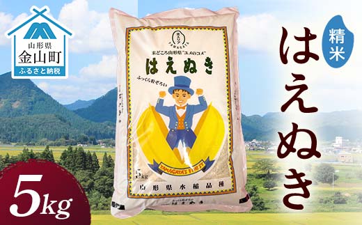 
                  令和7年産 金山産米 はえぬき 【精米】5kg 米 お米 白米 ご飯 精米 ブランド米 送料無料 東北 山形 金山町 F4B-0785
                