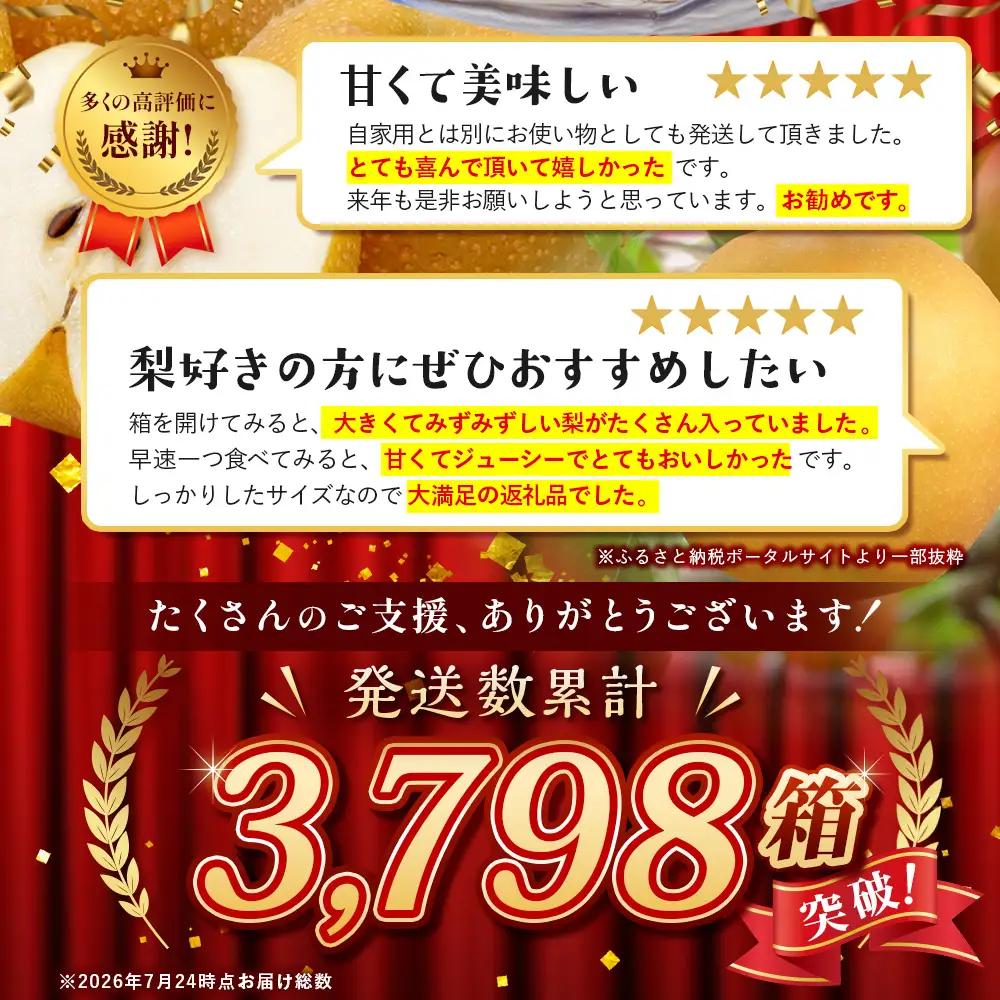 佐賀県産 梨 約5kg 旬の梨