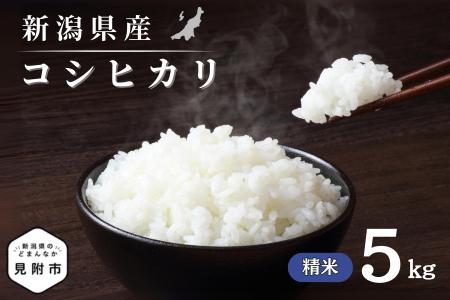 令和7年産 新潟県産 コシヒカリ 5kg 精米 米 お米 白米 コシヒカリ こしひかり おすすめ 人気 こめ コメ 新潟 見附 見附市 7年 2025年産 ふるさと納税 諸長