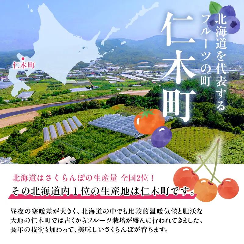 [先行受付] 北海道 仁木町産 さくらんぼ 佐藤錦 800g（400g×2パック）  サクランボ チェリー フルーツ 果物 果物類  仁木町 仁木 [和田農園]