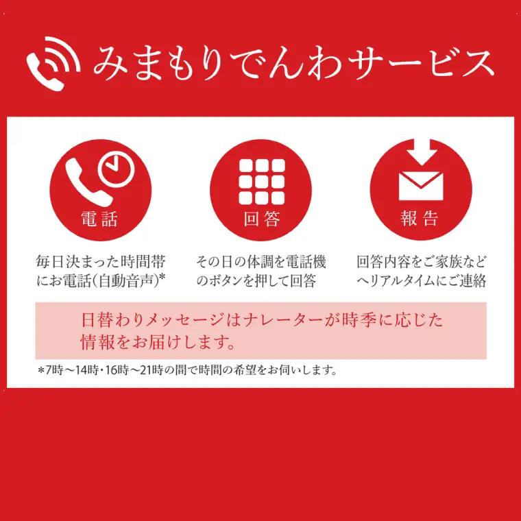 DV-4　郵便局のみまもりでんわサービス(固定電話コース3か月)