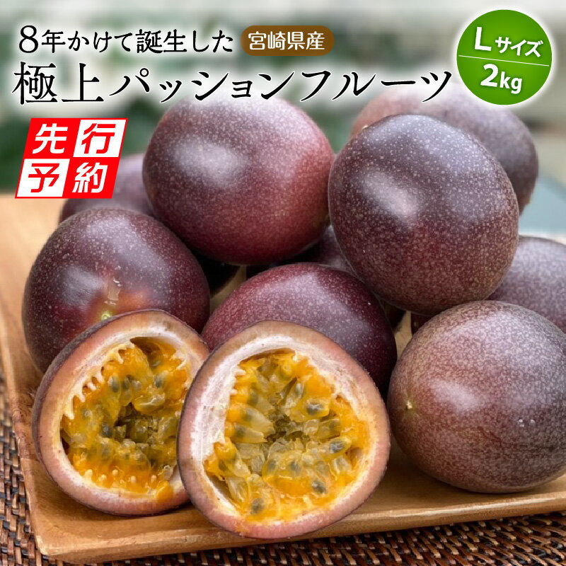 【ふるさと納税】 《2025年発送先行予約》【期間・数量限定】 8年かけて誕生した宮崎県産極上パッションフルーツL 2kg ルビースター サマークイーン 10種類 品種 炭酸水 焼酎 ドリンク フルーツ ギフト お土産 宮崎県 宮崎市 送料無料