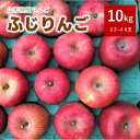 【ふるさと納税】りんご ( ふじりんご ) 10kg 無袋栽培 22～46玉 家庭用 ジュース用 果物 フルーツ お取り寄せ 産地直送 送料無料 山形県 上山市 0007-2405