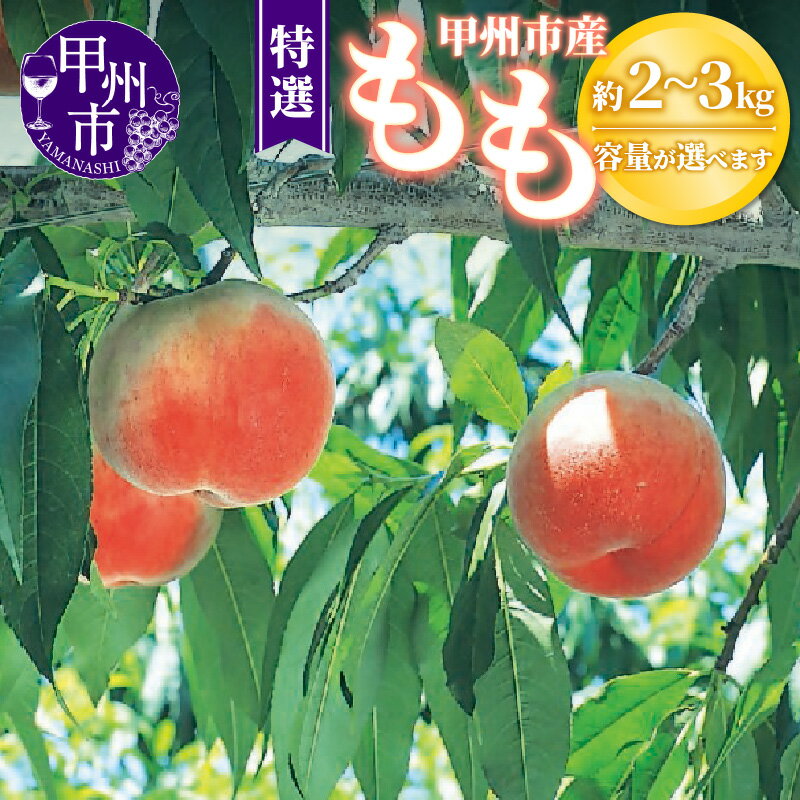 【ふるさと納税】 桃 特選 選べる内容量 約2kg～約3kg 6玉～12玉 果物 もも 甲州市 新鮮 くだもの フルーツ 2025年発送 産地直送 山梨 人気 おすすめ 厳選 白鳳系 白桃系 期間限定 数量限定 7月 8月 冷蔵 ギフト 贈答 家庭用 （OGN）