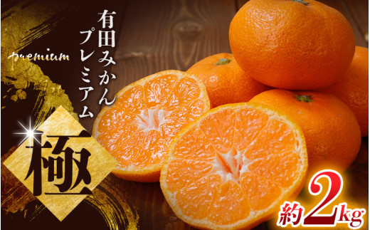 【先行予約】 ＼光センサー選別／極 有田みかんプレミアム 約2kg【光センサー 高糖度選別品】2S～Lサイズ 有機質肥料100% ※2026年11月～2027年1月に順次発送予定  ※北海道・沖縄・離島への配送不可 【nuk154G】