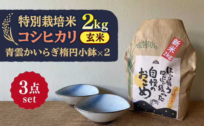 
先行予約 【令和6年産新米】 玄米 コシヒカリ 特別栽培米 （2kg） + 【美濃焼】 青雲かいらぎ 楕円小鉢 （2個） 【山松加藤松治郎商店】 [TEU038]
