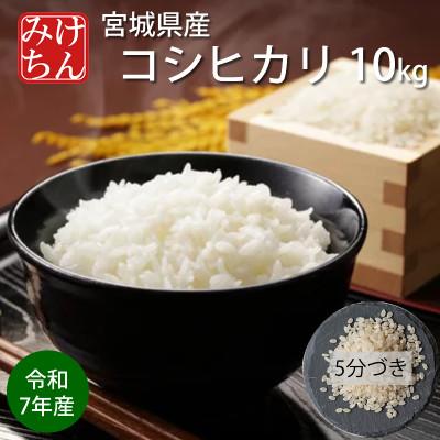ふるさと納税 村田町 令和7年産　宮城県産コシヒカリ 5分づき精米　10kg