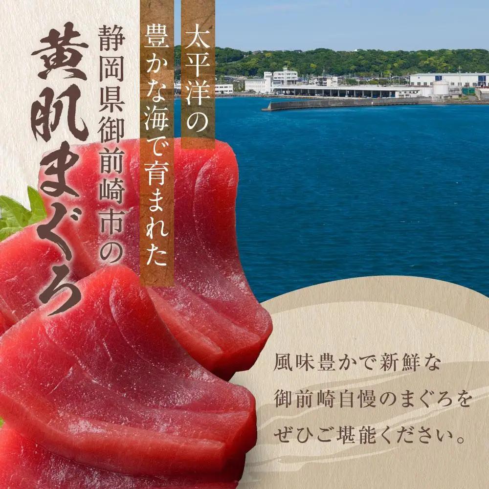 天然　黄肌まぐろ切り落し1kg (500g×2パック)　小分け パック  静岡県 御前崎    訳あり  マグロ 鮪 便利 刺身 食べやすい スライス 天然 赤身 新鮮 海鮮丼 寿司 魚 魚介類 海鮮
