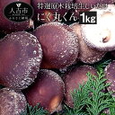 【ふるさと納税】特選原木栽培生しいたけ にく丸くん 大サイズ 約1kg 生椎茸 しいたけ きのこ 熊本県人吉産 九州 冷蔵 送料無料【2024年10月下旬～2025年2月上旬に順次発送予定】