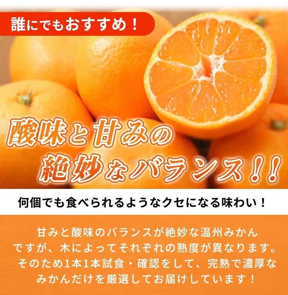 赤秀品　紀州有田産濃厚完熟温州みかん　3kg（ＭサイズまたはＳサイズ）［2026年11月下旬以降発送］［先行予約］［UT12］