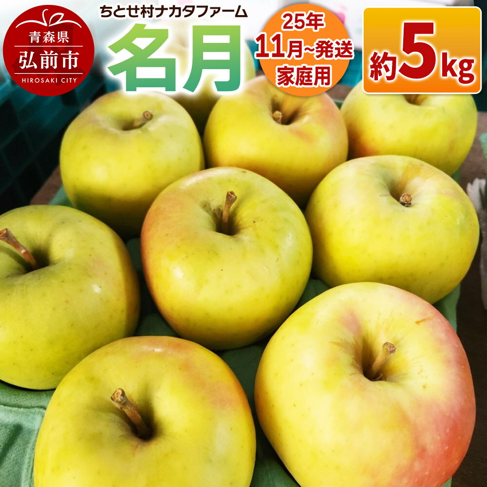 【ふるさと納税】【レビューキャンペーン】【25年11月発送】りんご【家庭用】名月 約5kg