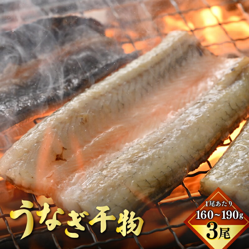 【ふるさと納税】土用の丑の日 国産 うなぎ 干物 約160〜190g × 3尾 (計約480〜570g) 鰻漁師が厳選！ 皮はパリッ！ 身はジューシー！ グリルで調理簡単 冷凍 【ウナギ 鰻 添加物不使用 蒲焼 父の日 母の日 敬老の日 お中元 お歳暮】